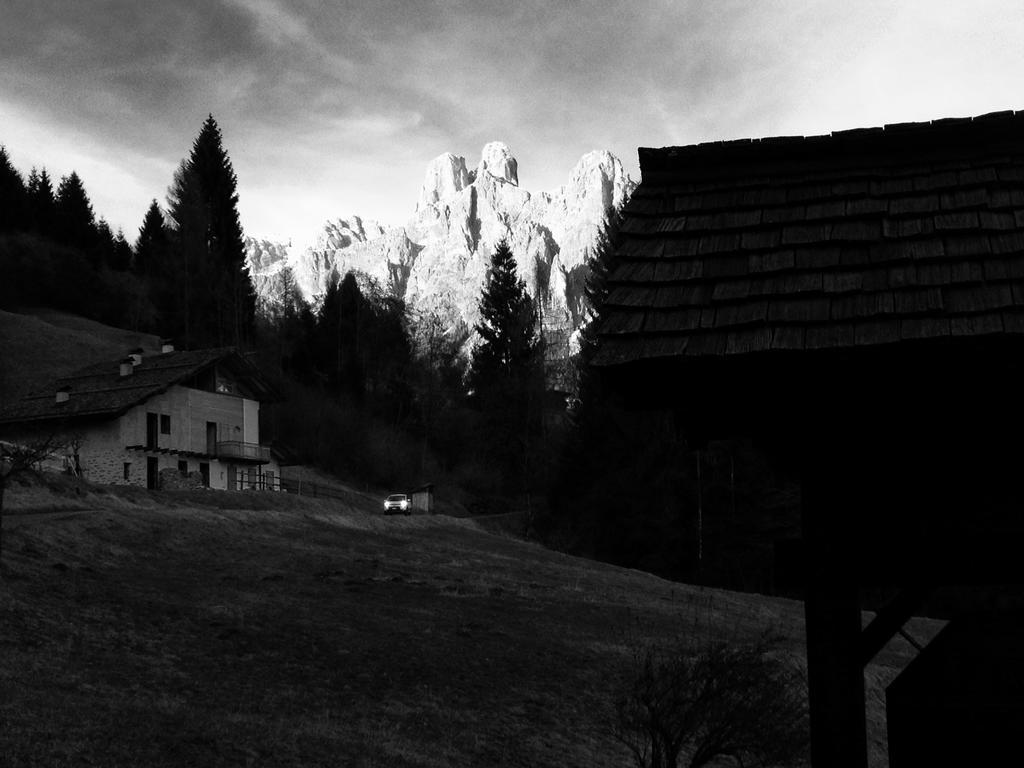 Family Hotel La Perla Fiera Di Primiero Esterno foto
